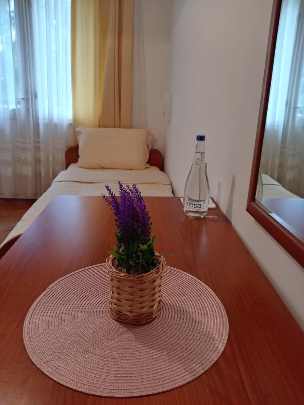 Hotel Vlasina - Vlasinsko Jezero Vlasina Rid Esterno foto