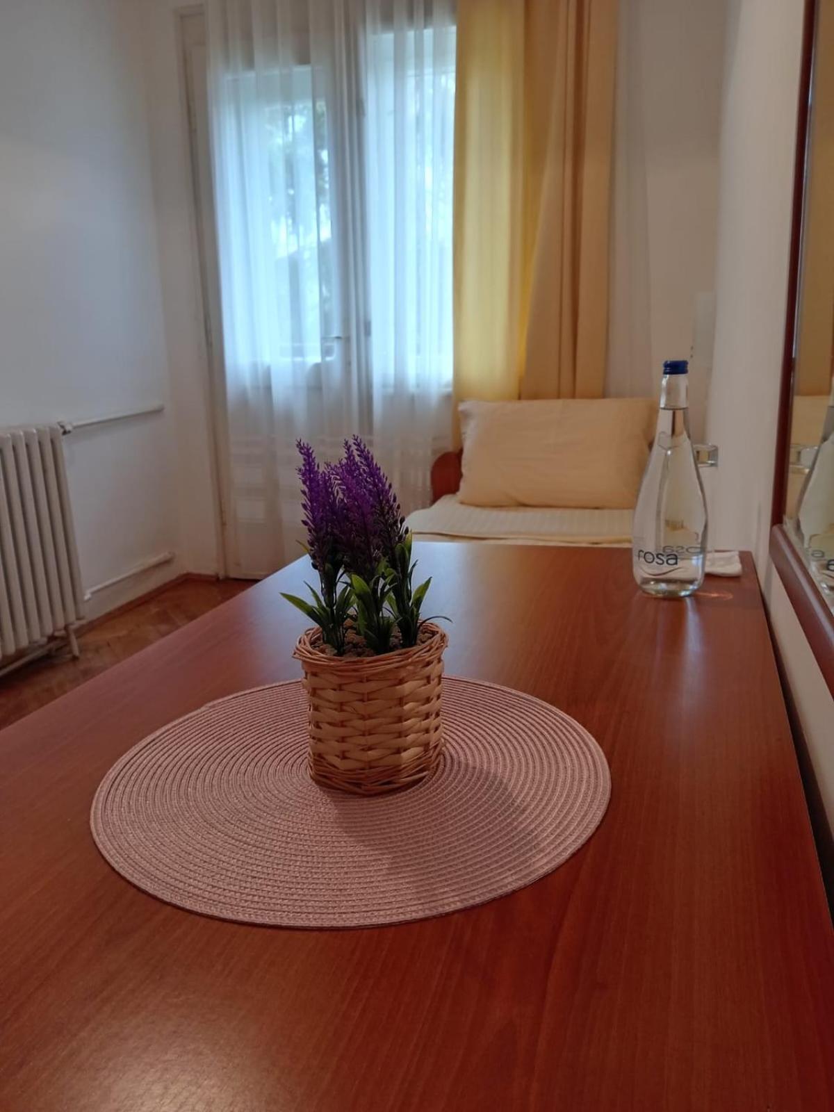 Hotel Vlasina - Vlasinsko Jezero Vlasina Rid Esterno foto