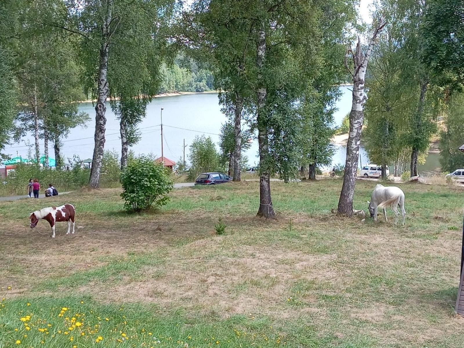 Hotel Vlasina - Vlasinsko Jezero Vlasina Rid Esterno foto